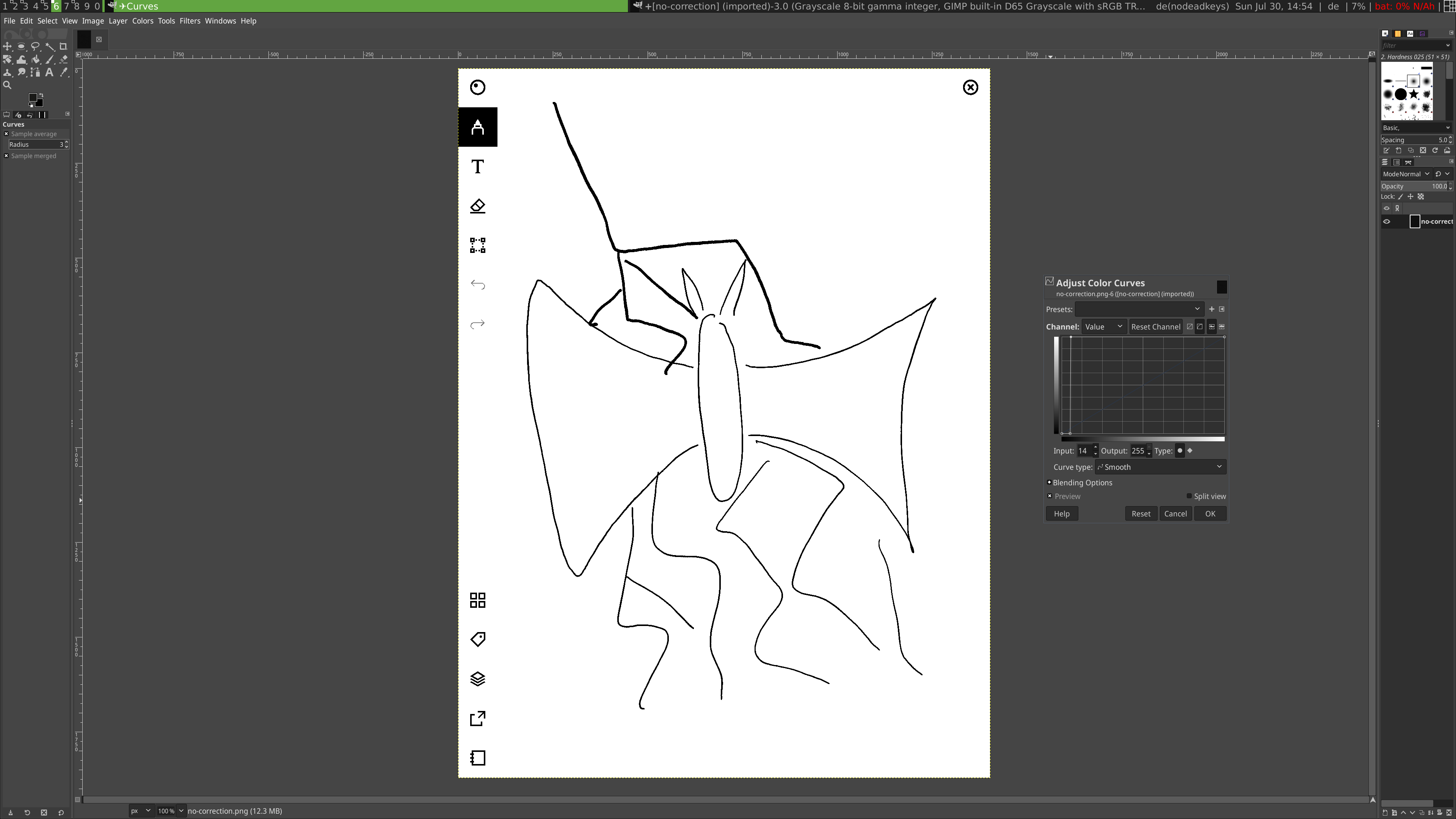 GIMP Correction
