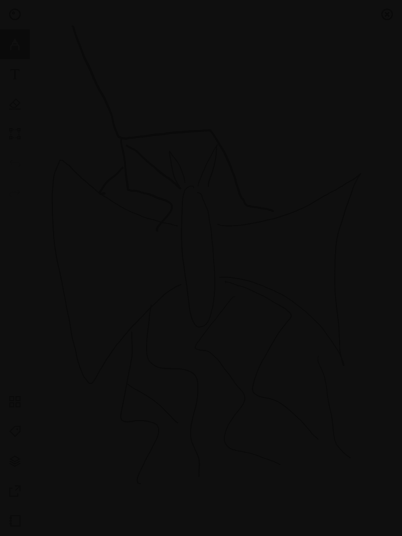 Uncorrected Image